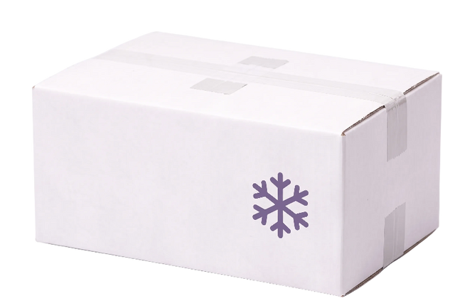NowExpress cold-chain delivery box