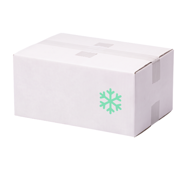 NowExpress cold-chain delivery box